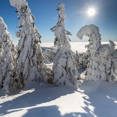 アパート Hittenpichl